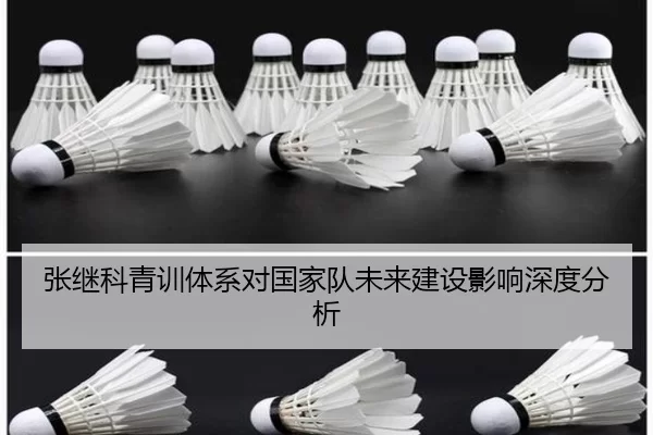 张继科青训体系对国家队未来建设影响深度分析